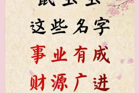 论如何取好属鼠申时出生男孩的名字姓名