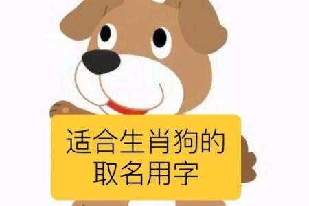 2018年男狗宝宝取什么名字最好?取名常用方法有哪些?-华易网姓名