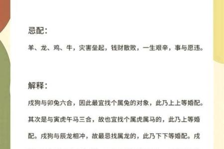 如何给属狗酉时出生的男孩起名,宜用哪些字姓名