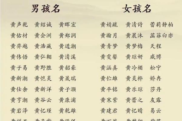 晚上9点出生的属蛇男孩该如何起名，适合用什么字姓名