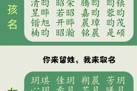2019年4月24号寅时出生的男孩应该起什么样的名字姓名