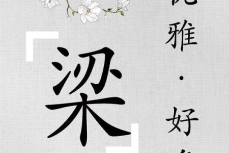 梁姓女孩名字大全-梁姓女孩起名字大全-梁姓名字大全姓名