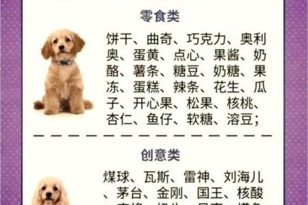 中午1点出生的属狗男孩如何取名,宜用什么字姓名