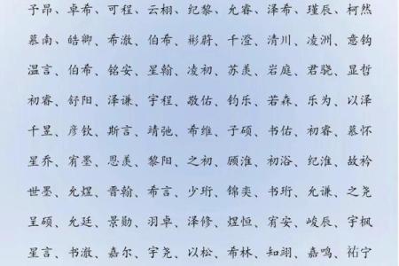 2021年母亲节出生的男孩起什么名字好?姓名