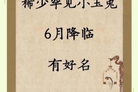 辛时出生的属兔男孩怎么取名字姓名