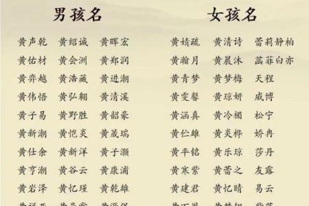 晚上9点出生的属蛇男孩该如何起名，适合用什么字姓名