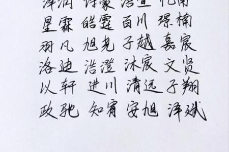 2021年农历六月二十三日出生男孩名字大气取名大全姓名