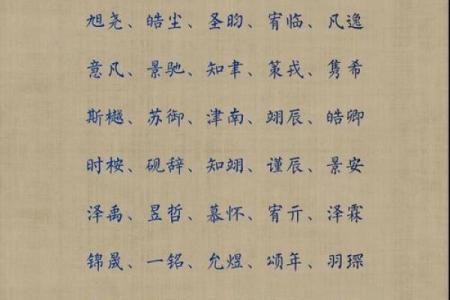 2019年4月10号子时出生的男孩应该起什么样的名字姓名