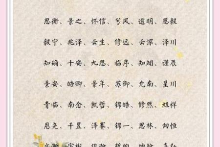2019年3月13号丑时出生的男孩要怎么起名字姓名