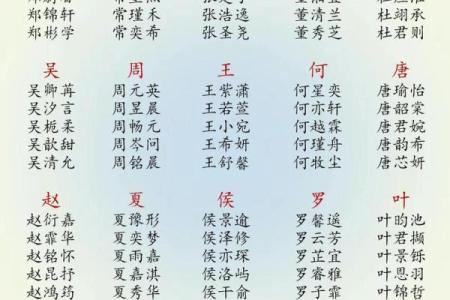 2019年3月28号午时出生的男孩起名方法姓名