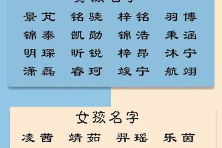 2019年6月3号子时出生的男孩应该起什么样的名字姓名