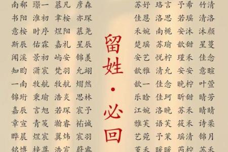 2019年3月26号申时出生的男孩要怎么起名字姓名