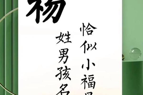 杨姓男孩名字大全-杨姓男孩起名字大全-杨姓名字大全姓名