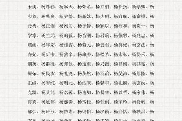 杨姓男孩名字大全-杨姓男孩起名字大全-杨姓名字大全姓名