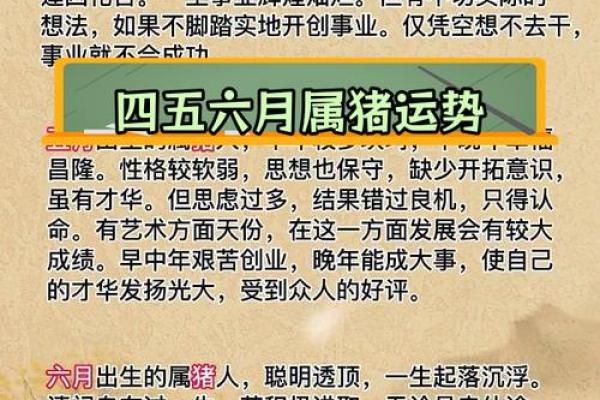 属猪辰时出生的男孩如何取名字，宜用什么字姓名