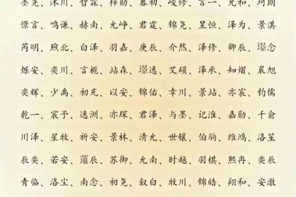 属猪辰时出生的男孩如何取名字，宜用什么字姓名