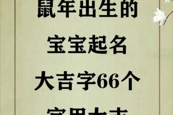 2021年1月1日元旦出生鼠宝宝女孩免费名字大全姓名 2021年1月1日元旦出生鼠宝宝女孩免费名字大全姓名