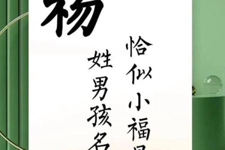 杨姓男孩名字大全-杨姓男孩起名字大全-杨姓名字大全姓名