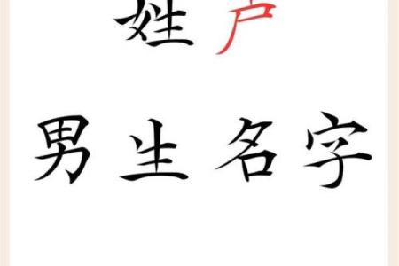 卢姓女孩名字大全-卢姓女孩起名字大全-卢姓名字大全姓名