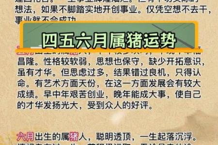 属猪辰时出生的男孩如何取名字，宜用什么字姓名