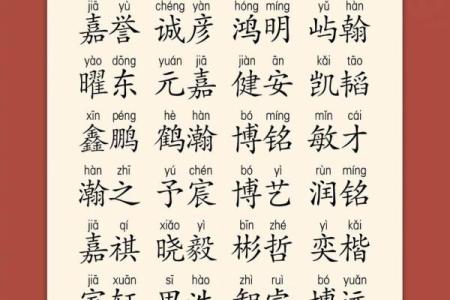 2019年3月24号辰时出生的男孩起名时要注意什么姓名