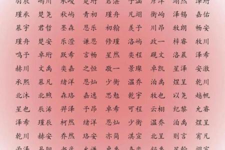 2019年5月1号寅时出生的男孩起名时要注意什么姓名