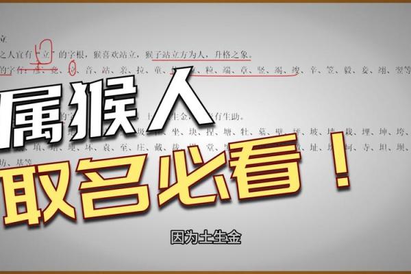 半夜出生的属猴男孩如何取名，适合什么字姓名