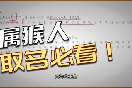 半夜出生的属猴男孩如何取名，适合什么字姓名